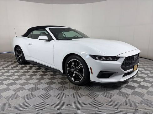 Used 2024 Ford Mustang Premium RWD image 2