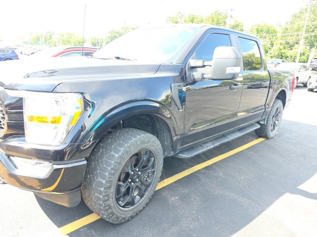 Used 2022 Ford F150 XL w/ STX Black Appearance Package AWD/4WD image 1