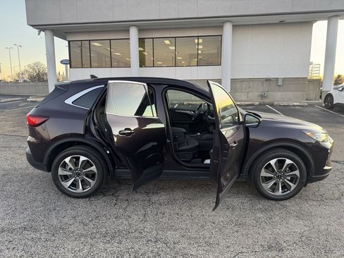 Used 2023 Ford Escape Platinum image 8