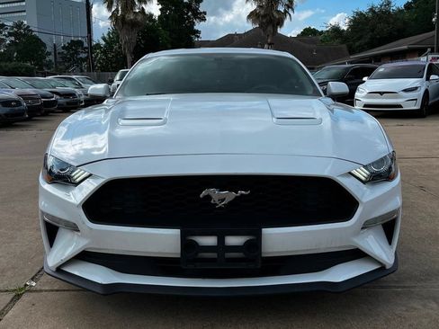 Used 2019 Ford Mustang Coupe w/ Equipment Group 101A RWD image 2