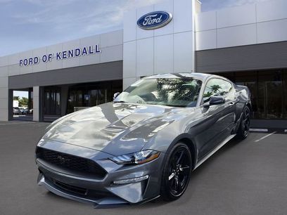 Used 2023 Ford Mustang Premium w/ Mustang Nite Pony Package