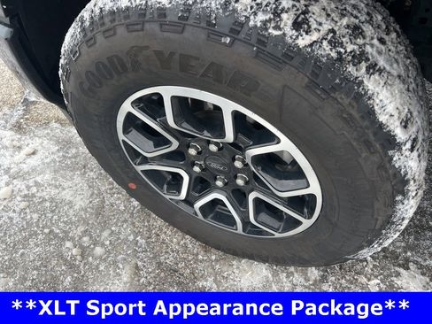 Used 2023 Ford F150 XLT w/ Equipment Group 302A High image 33