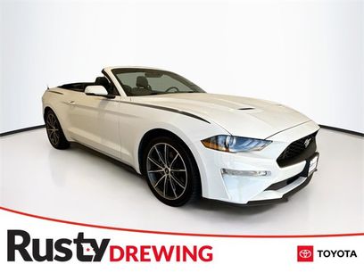 Used 2019 Ford Mustang Premium w/ Equipment Group 201A