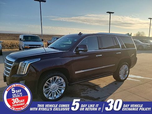 Used 2017 Cadillac Escalade Platinum image 7