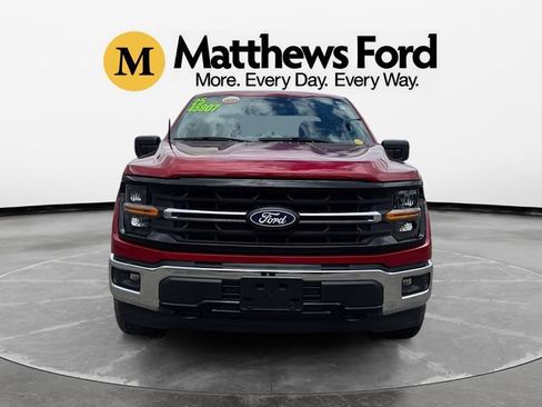 Used 2025 Ford F150 XLT w/ Equipment Group 301A Standard AWD/4WD image 8