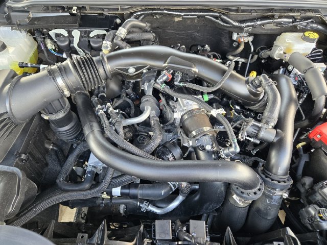 Used 2025 Ford Ranger Raptor AWD/4WD image 39