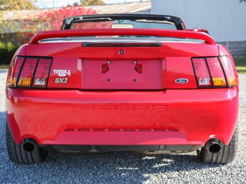 Used 1999 Ford Mustang Cobra RWD image 15
