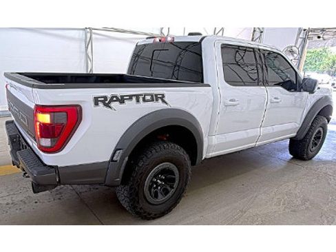Used 2021 Ford F150 Raptor w/ Equipment Group 801A High AWD/4WD image 8
