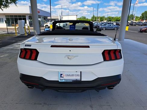 Used 2025 Ford Mustang Premium RWD image 11