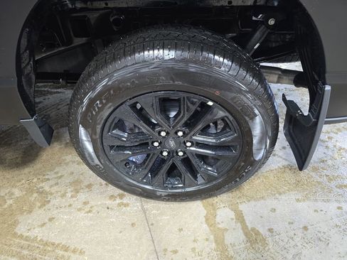 New 2025 Ford F150 XLT w/ Equipment Group 303A High image 29