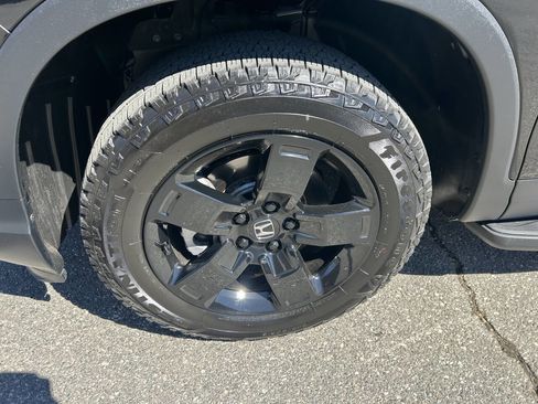 Used 2024 Honda Ridgeline Black Edition image 14