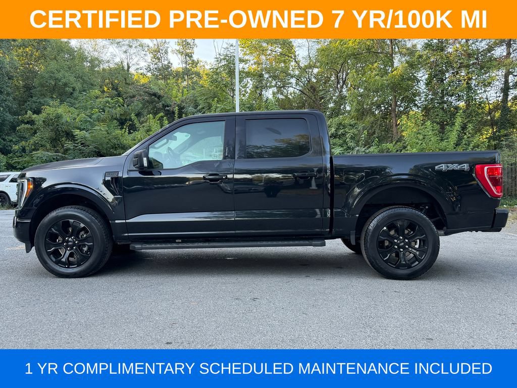 Used 2023 Ford F150 XLT w/ Equipment Group 302A High AWD/4WD image 4