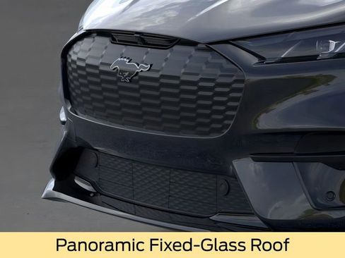 New 2025 Ford Mustang Mach-E GT w/ Interior Protection Package image 19