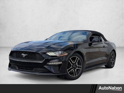 Used 2019 Ford Mustang EcoBoost w/ Equipment Group 101A