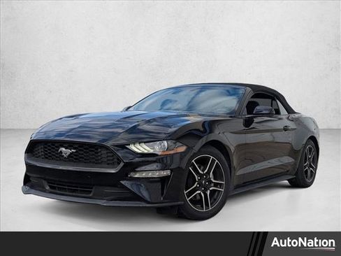 Used 2019 Ford Mustang EcoBoost w/ Equipment Group 101A image 1