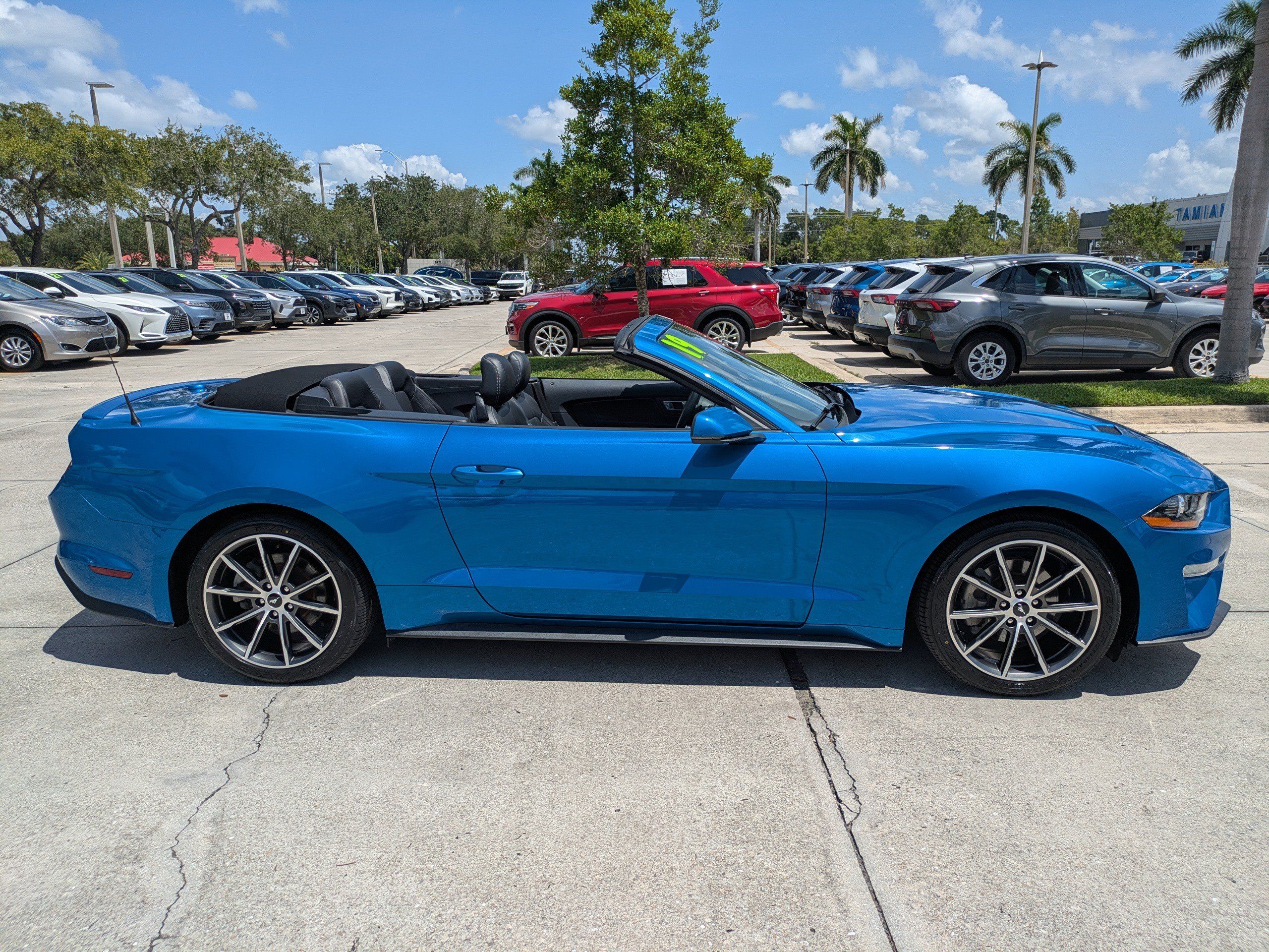 Used 2019 Ford Mustang Premium w/ Equipment Group 201A RWD image 3
