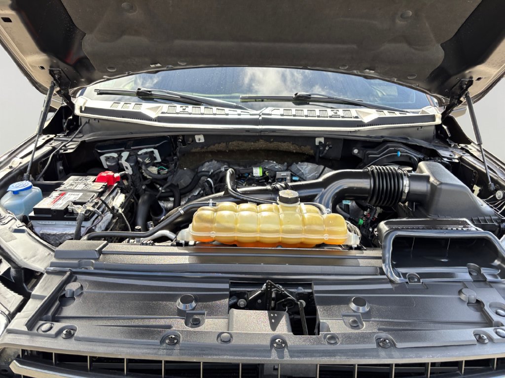 Used 2019 Ford F150 XLT w/ Equipment Group 302A Luxury AWD/4WD image 9