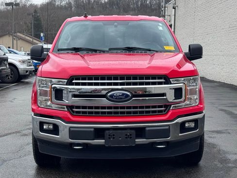 Used 2019 Ford F150 XLT w/ Equipment Group 302A Luxury image 2
