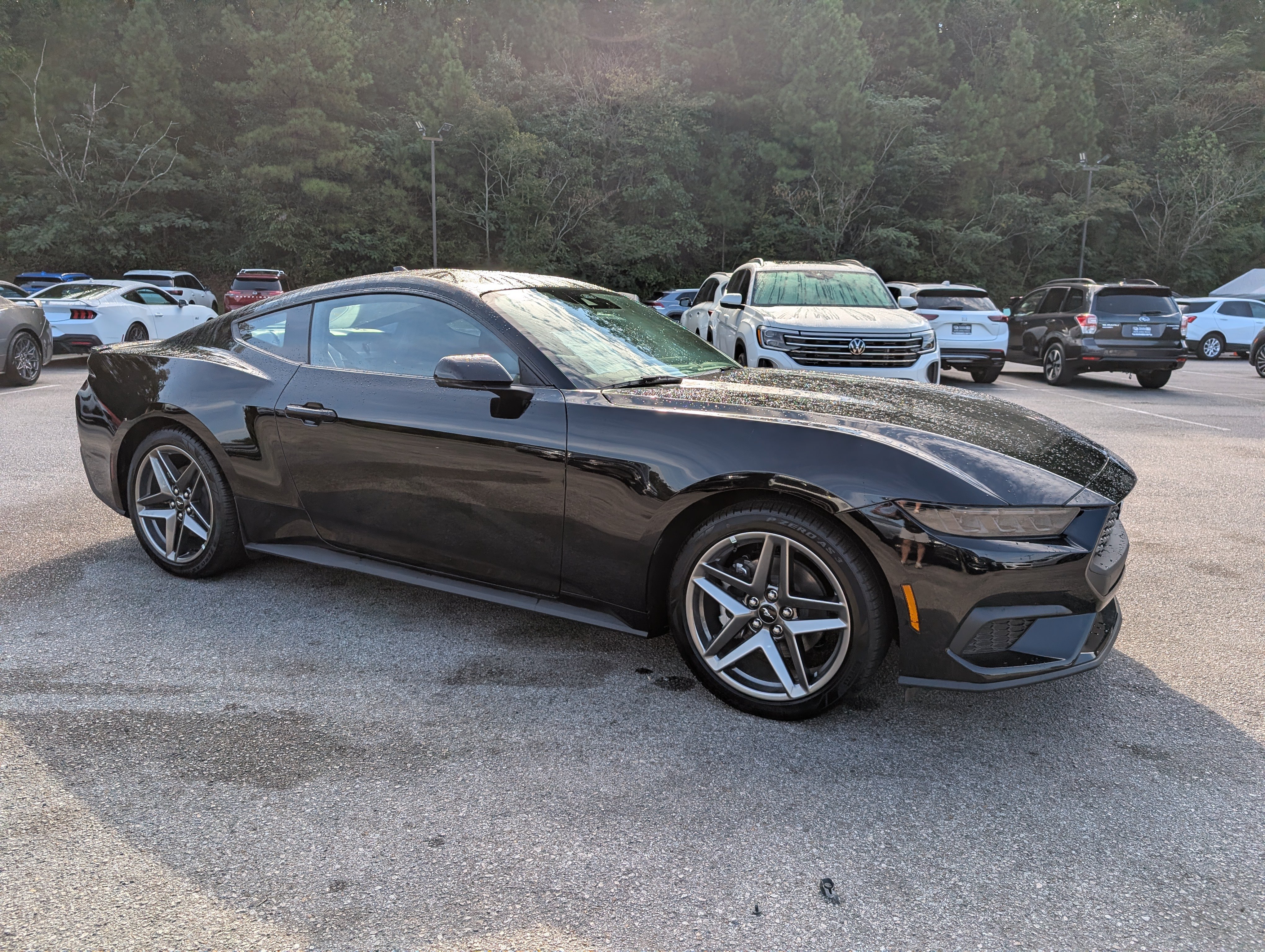 Used 2026 Ford Mustang Premium RWD image 11