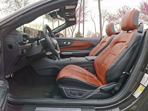 Used 2024 Ford Mustang Premium image 13