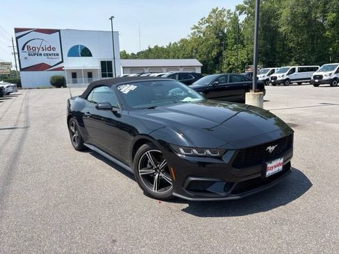 Used 2025 Ford Mustang Premium RWD image 2