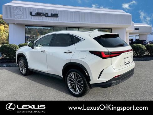 Used 2023 Lexus NX 350h AWD image 4