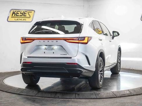 Used 2024 Lexus NX 250 FWD image 4