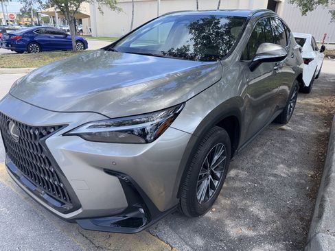 Used 2025 Lexus NX 250 FWD w/ Cold Area Package image 2