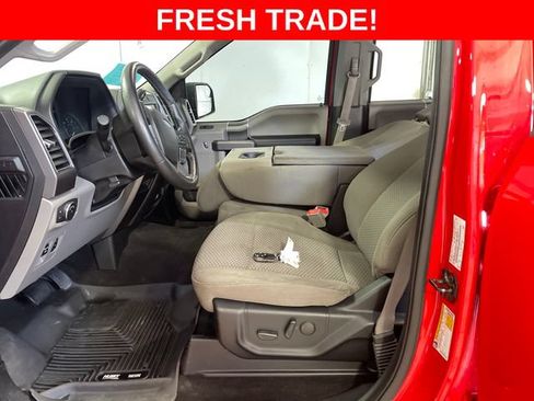 Used 2019 Ford F150 XLT w/ Equipment Group 302A Luxury AWD/4WD image 9