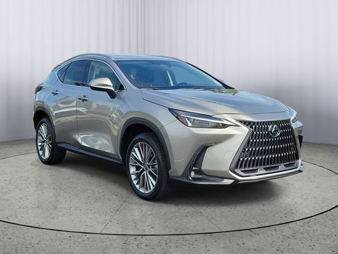 Certified 2025 Lexus NX 350h AWD w/ Cold Area Package image 1