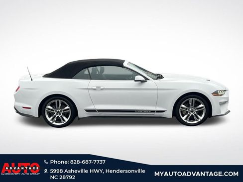 Used 2019 Ford Mustang Premium w/ Equipment Group 201A image 2