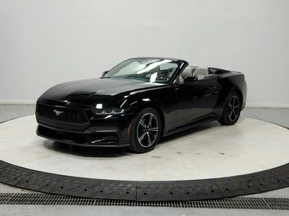 Used 2024 Ford Mustang Premium