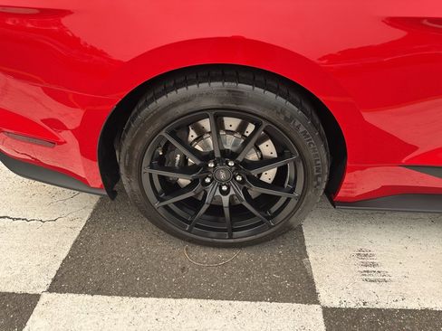 Used 2017 Ford Mustang Shelby GT350 RWD image 12