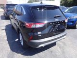 Used 2020 Ford Escape SE image 5