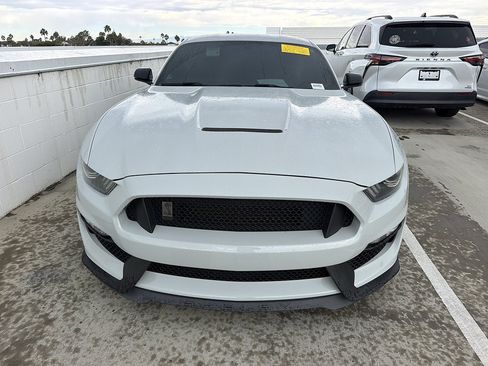 Used 2016 Ford Mustang Shelby GT350 w/ Technology Package RWD image 1