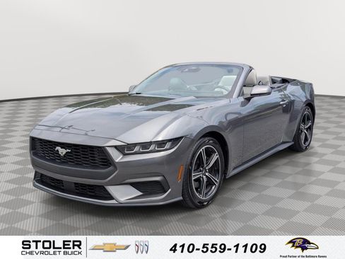 Used 2024 Ford Mustang Premium RWD image 1