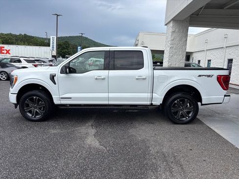 Used 2023 Ford F150 XLT w/ Equipment Group 302A High AWD/4WD image 24