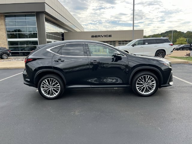 Certified 2025 Lexus NX 350h AWD w/ Cold Area Package image 2