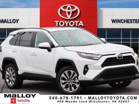 Certified 2025 Toyota RAV4 XLE Premium image 1