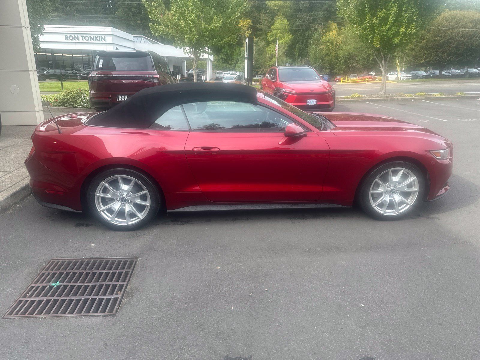 Used 2015 Ford Mustang Premium w/ Equipment Group 201A RWD image 6