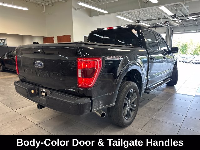 Used 2023 Ford F150 XLT w/ Equipment Group 302A High AWD/4WD image 13
