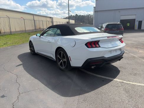 Used 2024 Ford Mustang Premium image 5