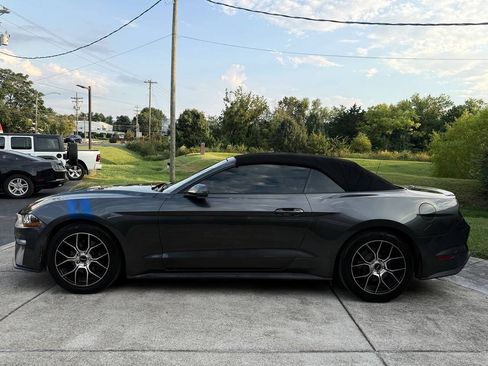 Used 2018 Ford Mustang Premium RWD image 3