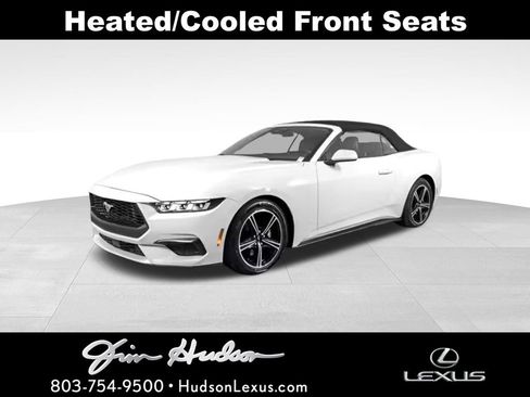 Used 2016 Ford Mustang Premium image 1