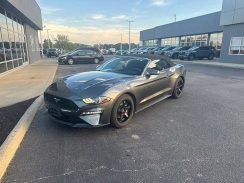 Used 2018 Ford Mustang Premium RWD image 2