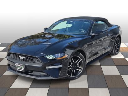 Used 2023 Ford Mustang Premium w/ Equipment Group 201A