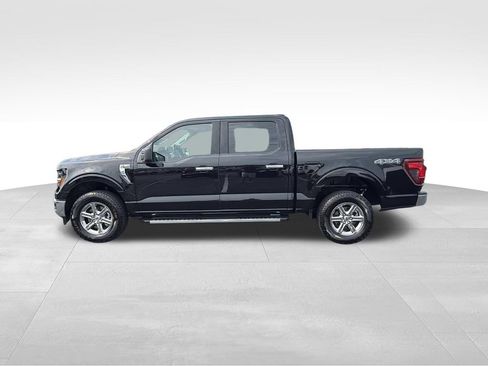 Used 2025 Ford F150 XLT w/ Equipment Group 301A Standard AWD/4WD image 6