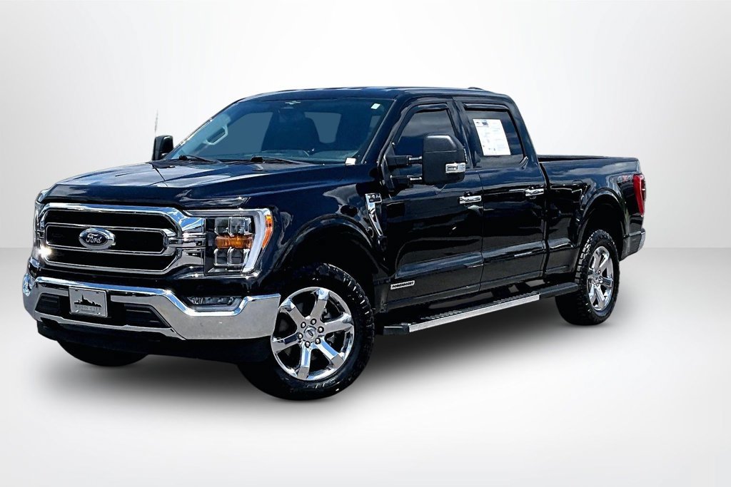 Used 2023 Ford F150 XLT w/ Equipment Group 302A High AWD/4WD image 3