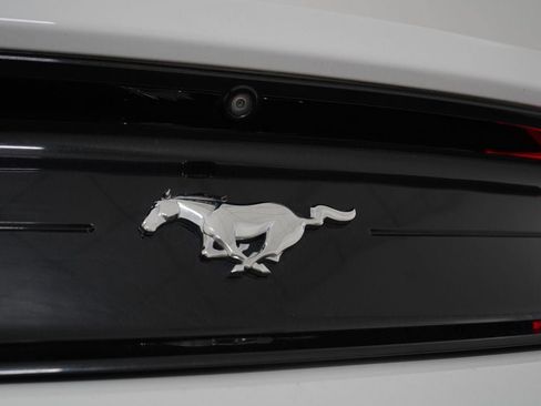 Used 2019 Ford Mustang Coupe RWD image 5