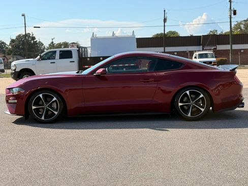 Used 2019 Ford Mustang Coupe w/ Equipment Group 101A RWD image 6